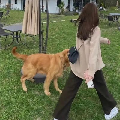 小镇的千叶君。